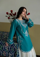 Humrahi 2 Piece  Embroidered Winter